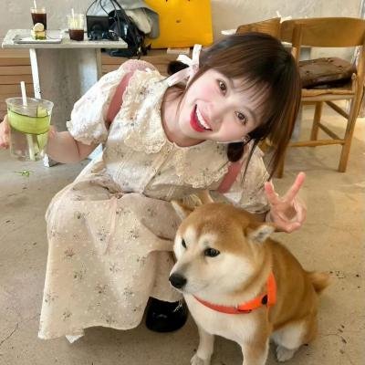 完美分身 在线观看封面