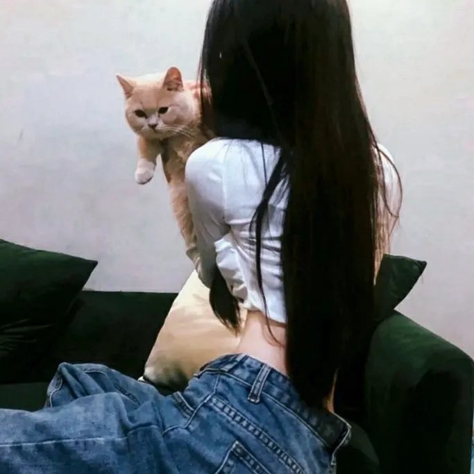 结婚宣言 在线观看封面